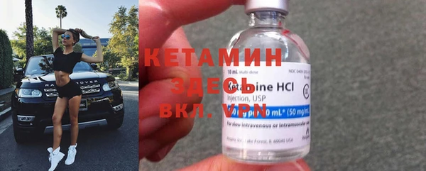 прущие грибы Наволоки