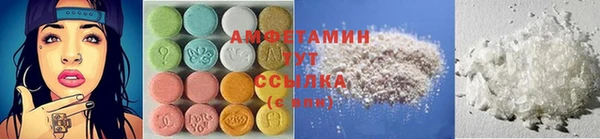 ПСИЛОЦИБИНОВЫЕ ГРИБЫ Алзамай