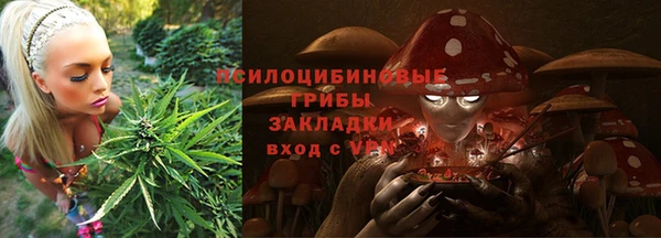 ПСИЛОЦИБИНОВЫЕ ГРИБЫ Алзамай